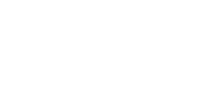 VIAX PARTNERS COMPANY LIMITED